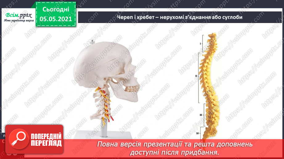 №057-58 - Скелет — опора тіла.21 №057-58 - Скелет — опора тіла.21