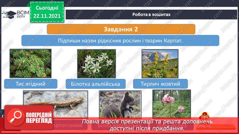 №042 - Сходження на Говерлу16 №042 - Сходження на Говерлу16