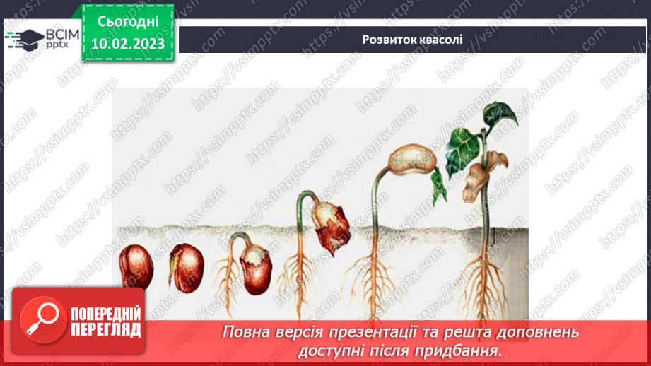 №45 - Пристосування до життя та різноманітність рослин. Секрети насінини.21