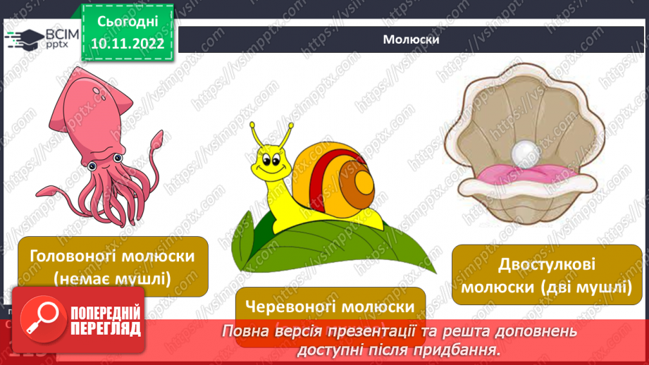 №039 - Членистоногі та молюски. Черви, жалкі, голкошкірі та губки.7