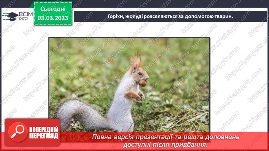 №51 - Узагальнення розділу «Клітини, бактерії, віруси, гриби, рослини і тварини».19