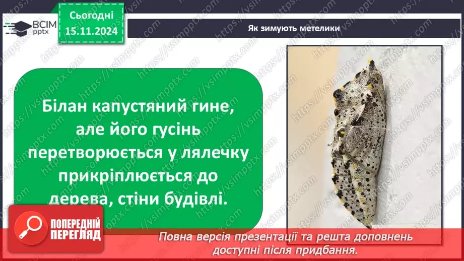 №0034 - Як осінні зміни впливають на комах9 №0034 - Як осінні зміни впливають на комах9