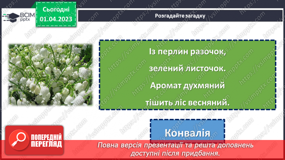 №111 - Квіти — Землі окраса. Леся Вознюк «Квіти».13