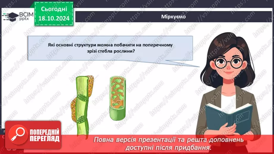 №25 - Вегетативні органи вищих рослин.17 №25 - Вегетативні органи вищих рослин.17