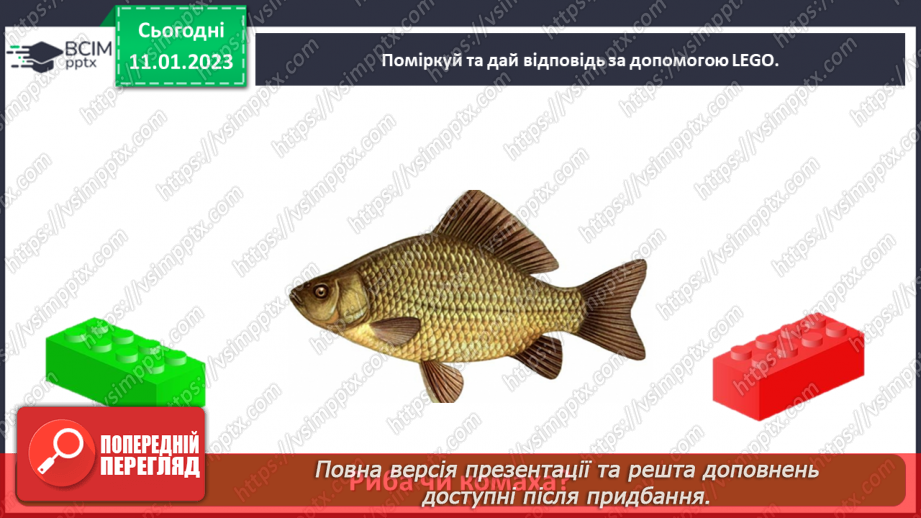 №0056 - Риби18 №0056 - Риби18