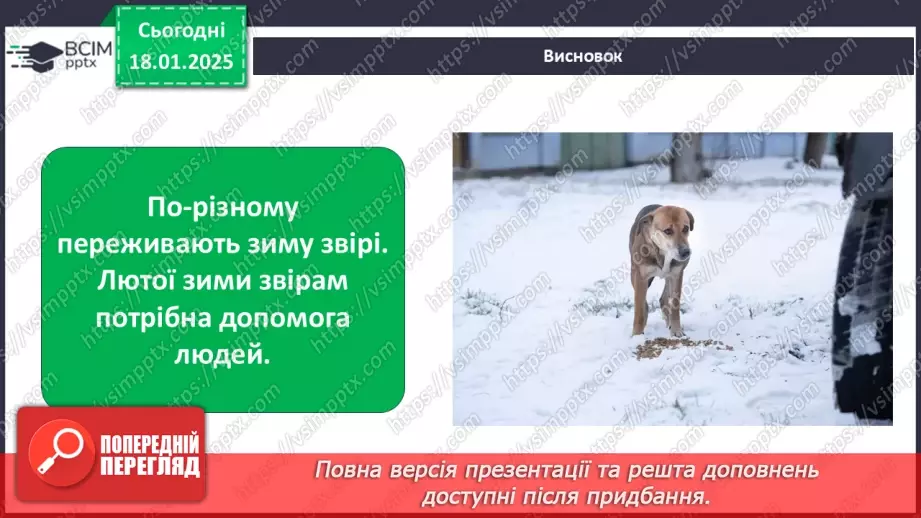 №0056 - Як зимують птахи та звірі22 №0056 - Як зимують птахи та звірі22