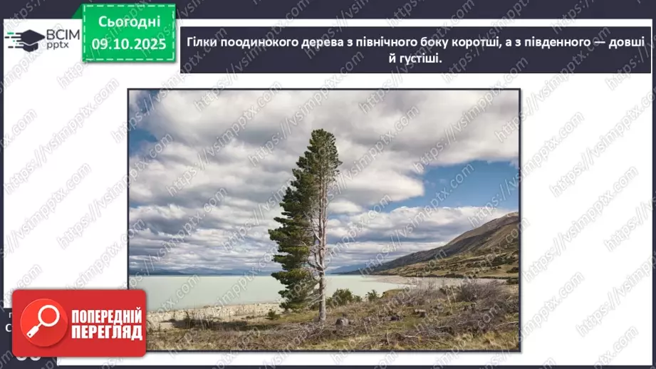 №0023 - Орієнтування на місцевості за допомогою Сонця та місцевих ознак.10 №0023 - Орієнтування на місцевості за допомогою Сонця та місцевих ознак.10