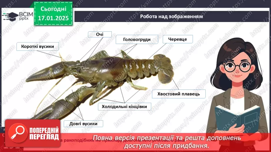 №55 - Членистоногі - безхребетні тварини із зовнішнім скелетом. Ракоподібні.14