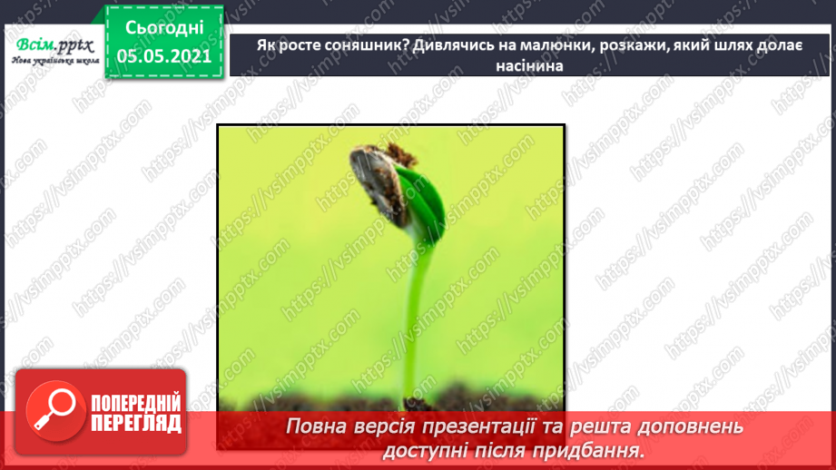 №035 - Сторінка дослідників. Як виростити нову рослину. Умови проростання насіння21 №035 - Сторінка дослідників. Як виростити нову рослину. Умови проростання насіння21