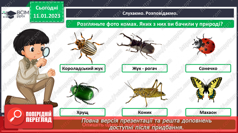 №0055 - Комахи4 №0055 - Комахи4
