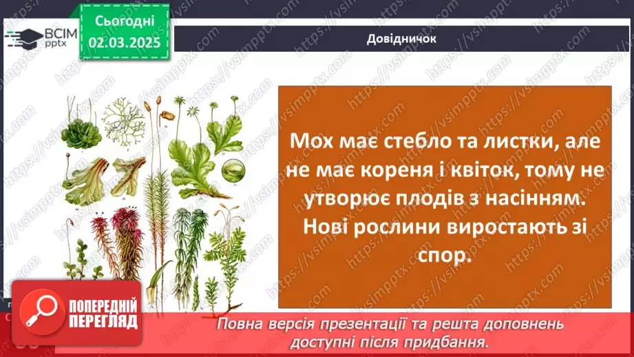 №074 - Різноманітність рослин. ст.59-6124