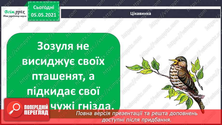 №045 - Різноманітність тварин у природі. Птахи11