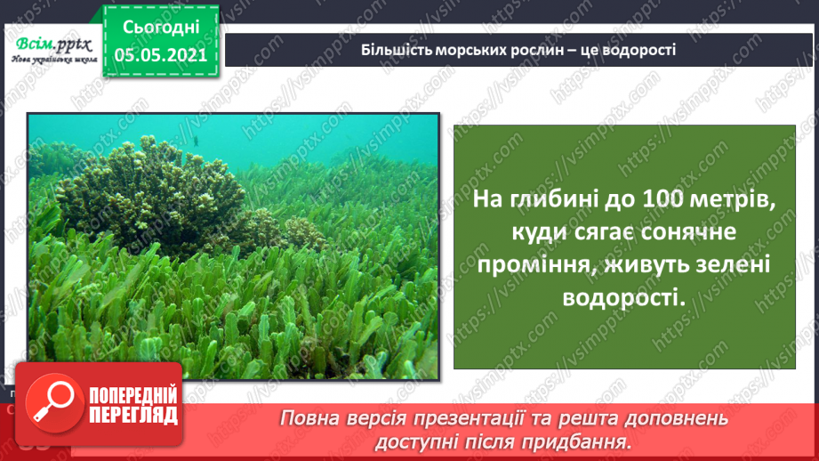 №053-54 - Природне угруповання—море. Подорож- спостереження «Природне угруповання нашої місцевості»5 №053-54 - Природне угруповання—море. Подорож- спостереження «Природне угруповання нашої місцевості»5