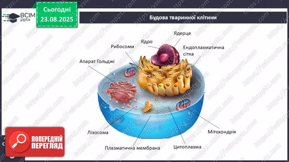№001 - Організм людини та тварин як багаторівнева біологічна система. Клітини і тканини.10 №001 - Організм людини та тварин як багаторівнева біологічна система. Клітини і тканини.10