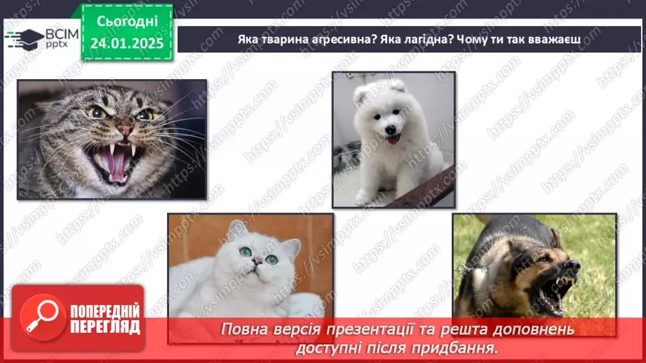 №0060 - Яка користь від знань7 №0060 - Яка користь від знань7