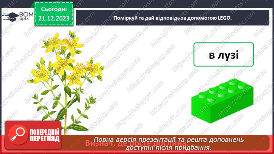 №049 - Чому рослини такі різні24 №049 - Чому рослини такі різні24