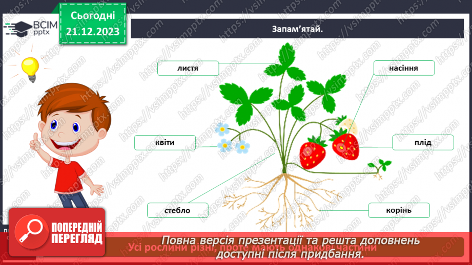 №050 - Яка будова рослин4 №050 - Яка будова рослин4
