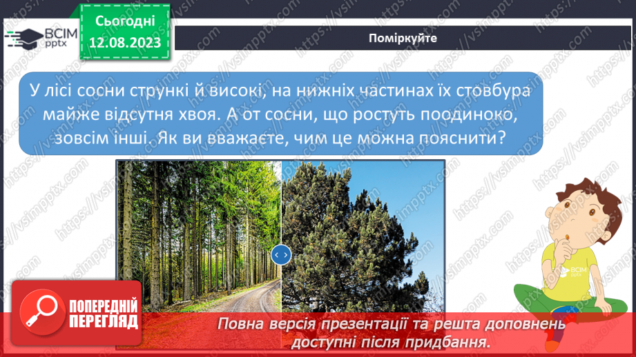 №38 - Ліс як екосистема. Структура лісу.18 №38 - Ліс як екосистема. Структура лісу.18