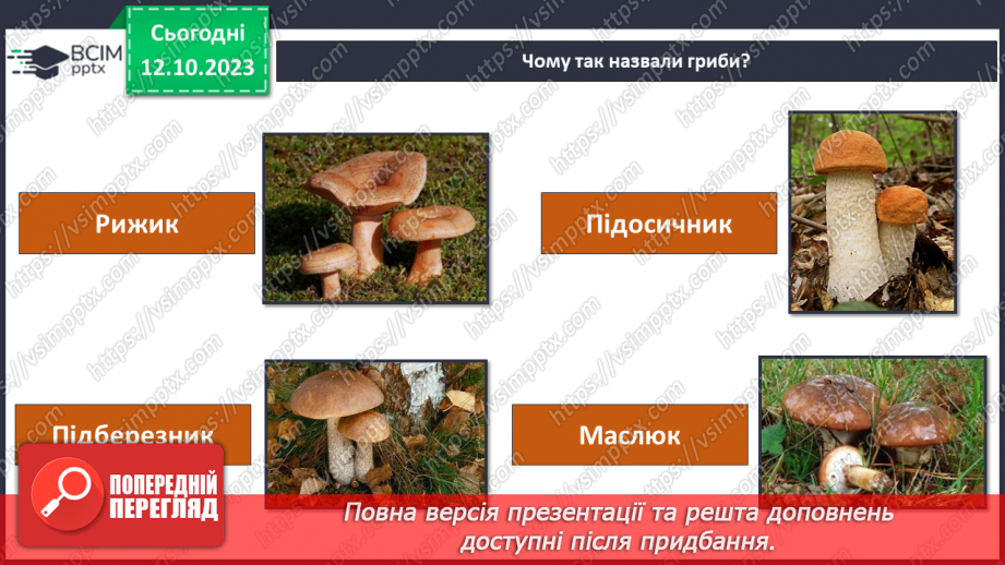 №024 - Осінь - грибна пора16 №024 - Осінь - грибна пора16