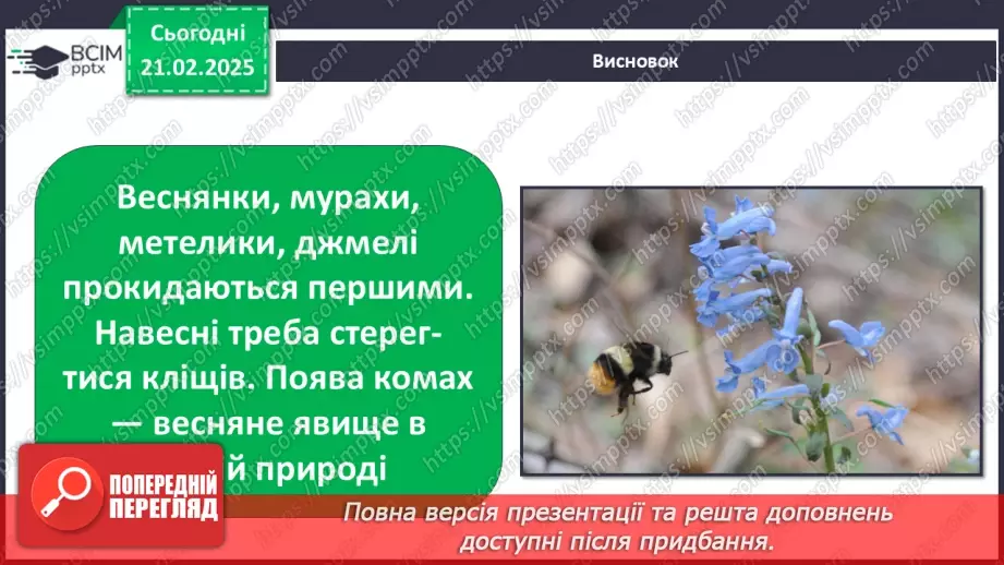 №0072 - Які комахи з’являються першими навесні26