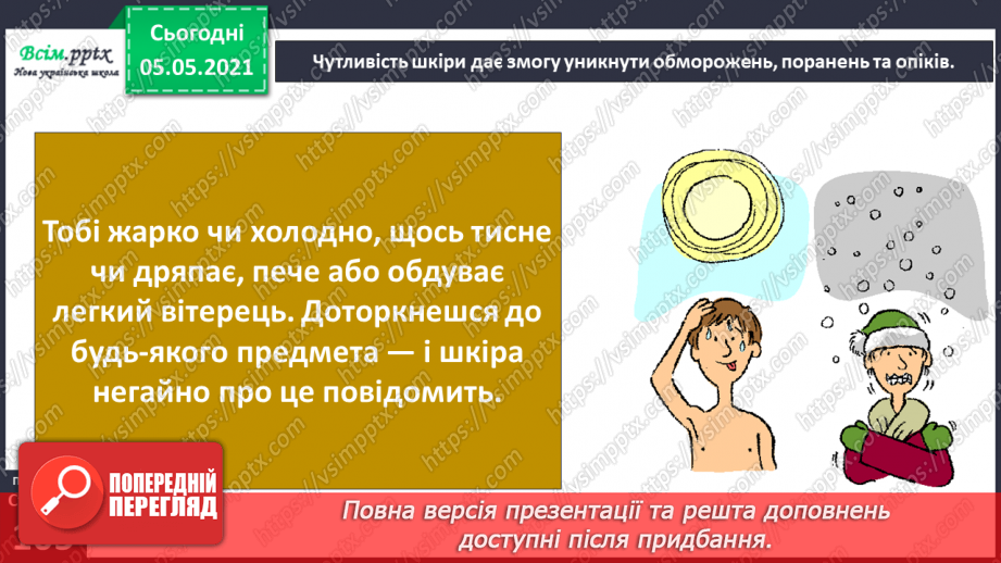 №087 - Орган дотику.6