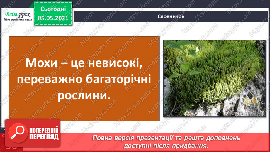 №033 - Мохи.10 №033 - Мохи.10