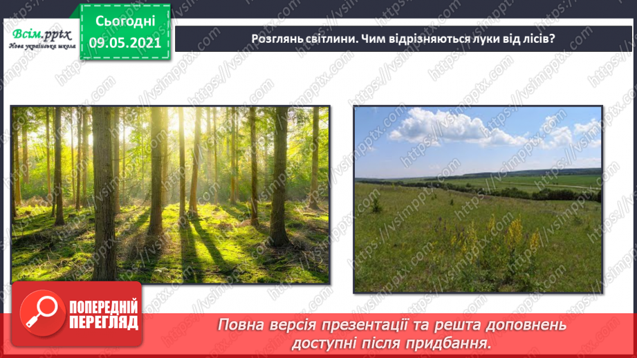 №074-75 - Які тварини живуть на луках, у степах і водоймах?5