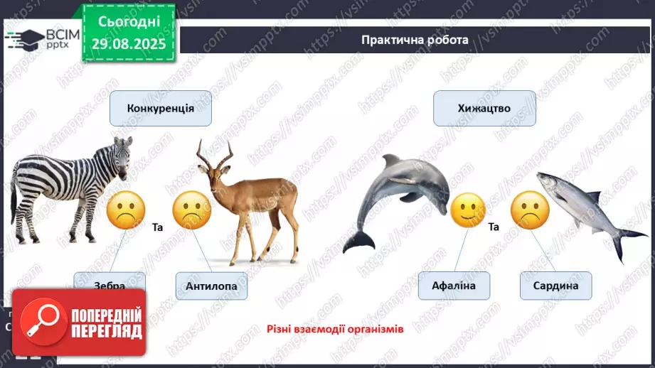 №006 - Правило екологічної піраміди15 №006 - Правило екологічної піраміди15