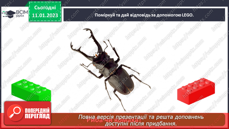 №0056 - Риби23 №0056 - Риби23