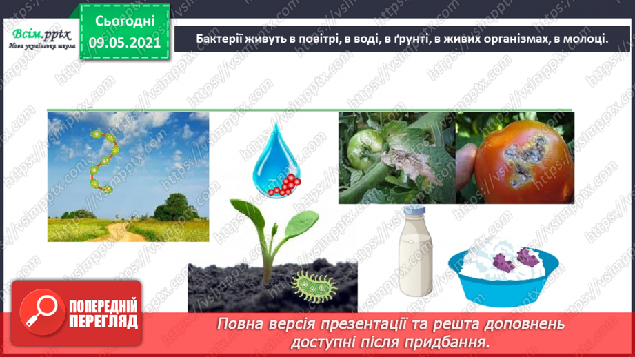 №080 - Хто такі мікроби й бактерії?11