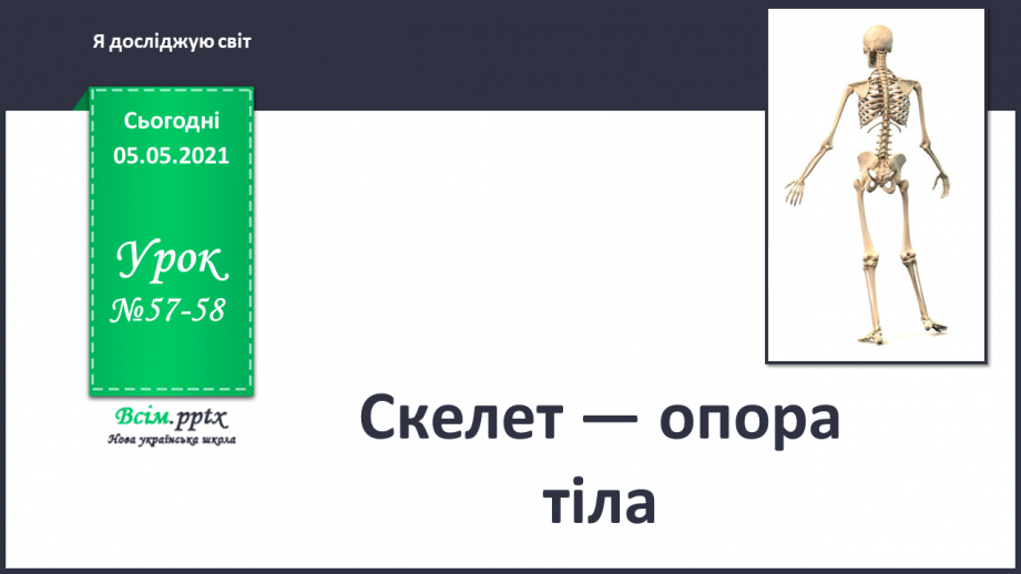 №057-58 - Скелет — опора тіла.0 №057-58 - Скелет — опора тіла.0