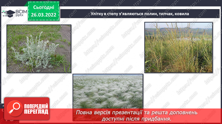 №080 - Лісостеп. Степ8 №080 - Лісостеп. Степ8