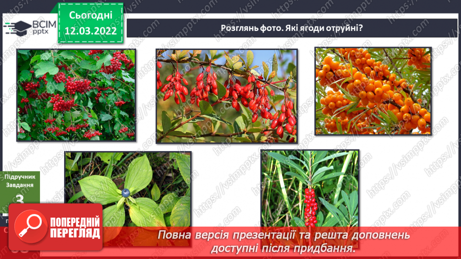 №073 - Навіщо нам ліси?. Досліджуємо разом. Куди ростуть рослини?12 №073 - Навіщо нам ліси?. Досліджуємо разом. Куди ростуть рослини?12