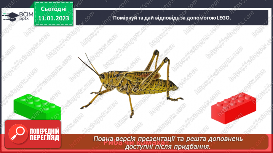 №0056 - Риби21 №0056 - Риби21