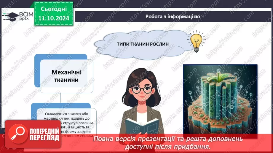 №23 - Тканини і органи рослин.14 №23 - Тканини і органи рослин.14