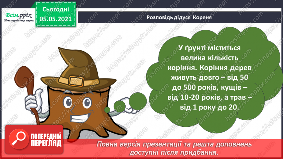 №030 - Рослини. Будова рослин25 №030 - Рослини. Будова рослин25