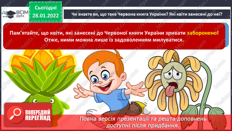 №021 - Декоративне зображення. СМ: М.Приймаченко «Квіти», А.Коттерілл «Рожеві тюльпани».3