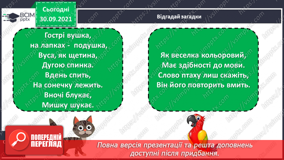 №028 - Розвиток зв’язного мовлення. Написання речень, які описують домашнього улюбленця або тварину, яка тобі подобається2