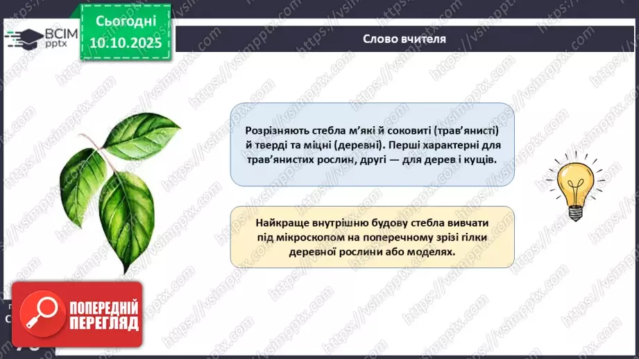 №022 - Покритонасінні рослини: будова бруньки, пагона й листка.17 №022 - Покритонасінні рослини: будова бруньки, пагона й листка.17