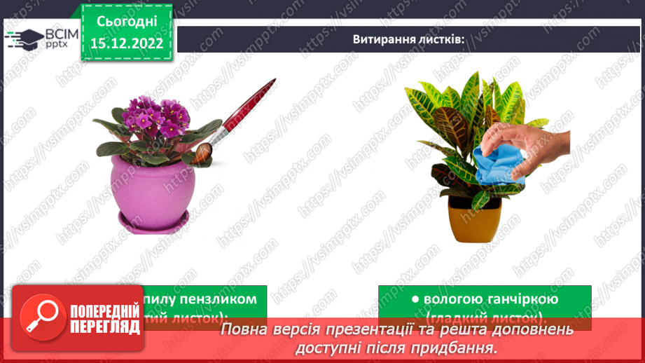 №017 - Догляд за кімнатними рослинами12 №017 - Догляд за кімнатними рослинами12