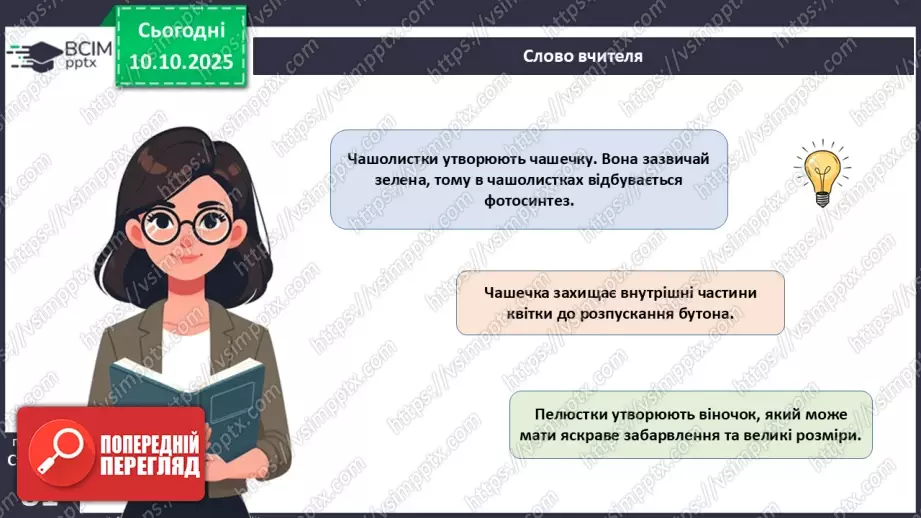 №024 - Покритонасінні рослини: квітка та плід. Значення в екосистемах.8 №024 - Покритонасінні рослини: квітка та плід. Значення в екосистемах.8