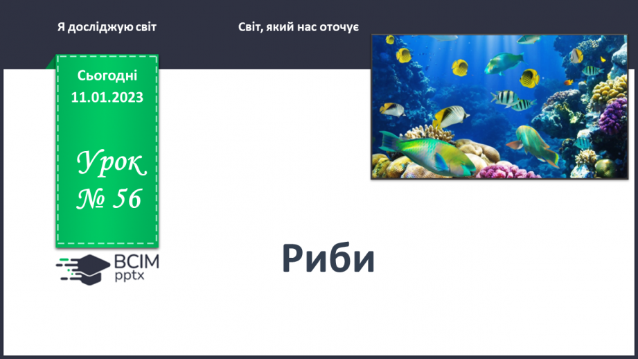 №0056 - Риби0 №0056 - Риби0