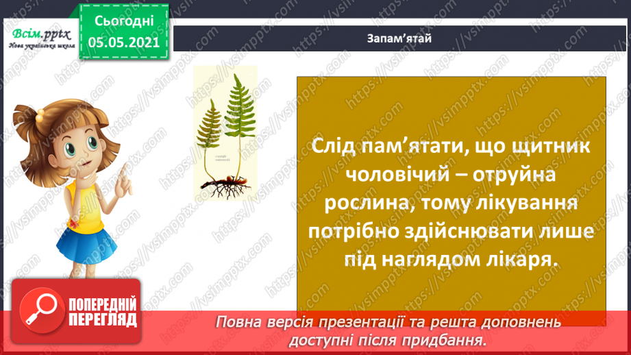 №034 - Папороті.15 №034 - Папороті.15