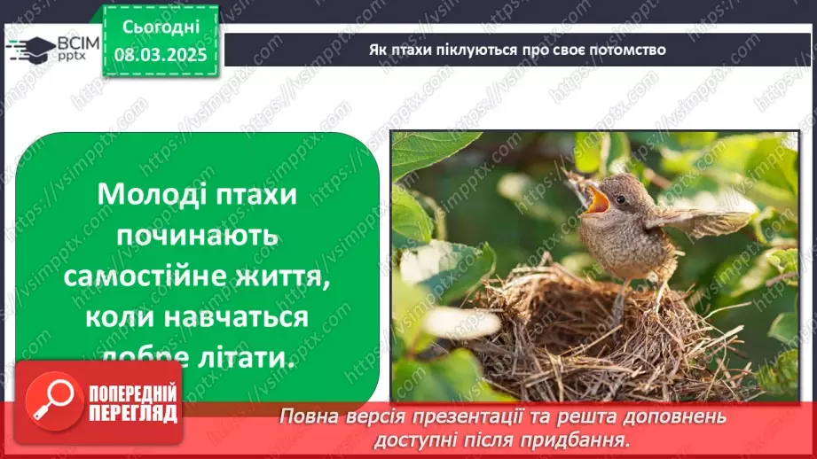 №0076 - Чому птахи в’ють гнізда37 №0076 - Чому птахи в’ють гнізда37