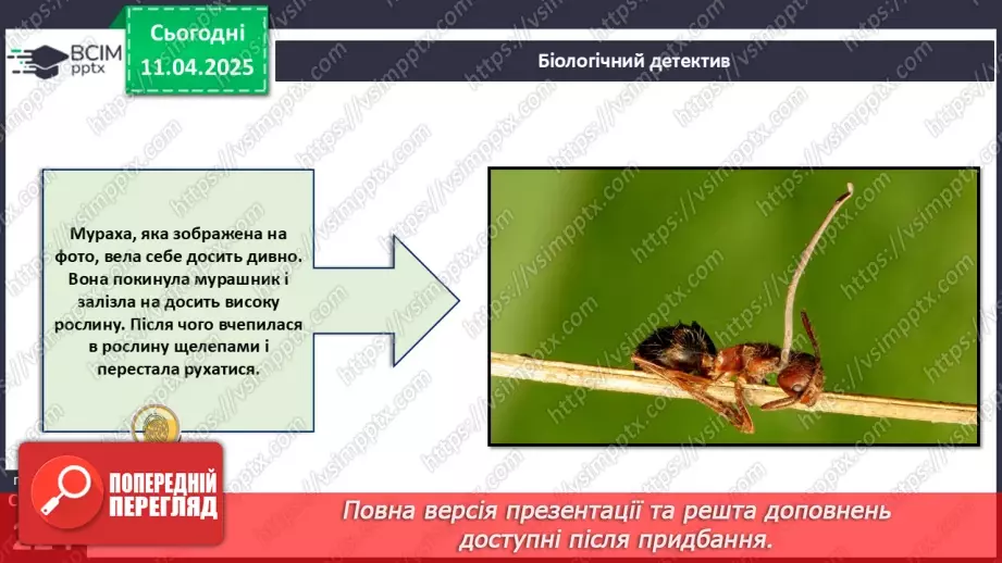 №76 - Значення грибів у природі. Паразитичні гриби.4 №76 - Значення грибів у природі. Паразитичні гриби.4