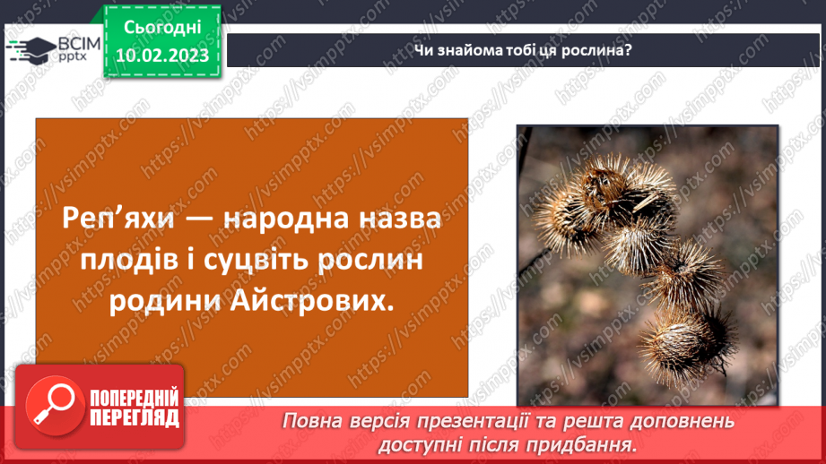 №45 - Пристосування до життя та різноманітність рослин. Секрети насінини.13
