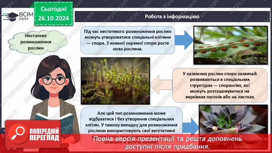 №28 - Розмноження та життєві цикли рослин.9 №28 - Розмноження та життєві цикли рослин.9