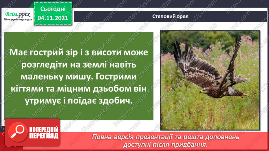 №040 - Як тварини пристосувалися добувати корм12 №040 - Як тварини пристосувалися добувати корм12