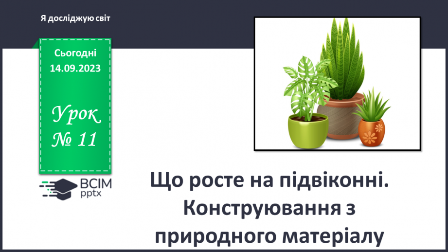 №011 - Що росте на підвіконні. Конструювання з природного матеріалу0