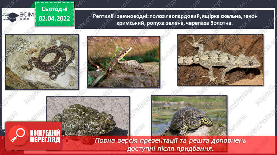 №083 - Кримські гори.18